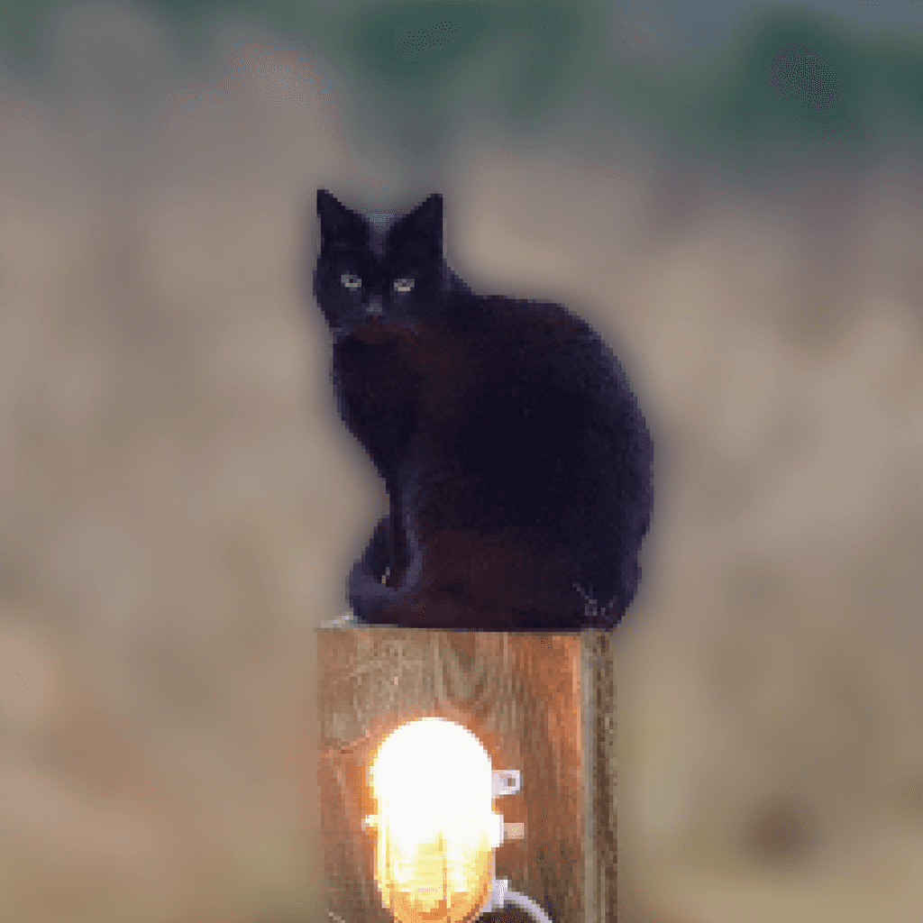 framer-legacy-about-team-nicky: black cat perched on top of a lamp