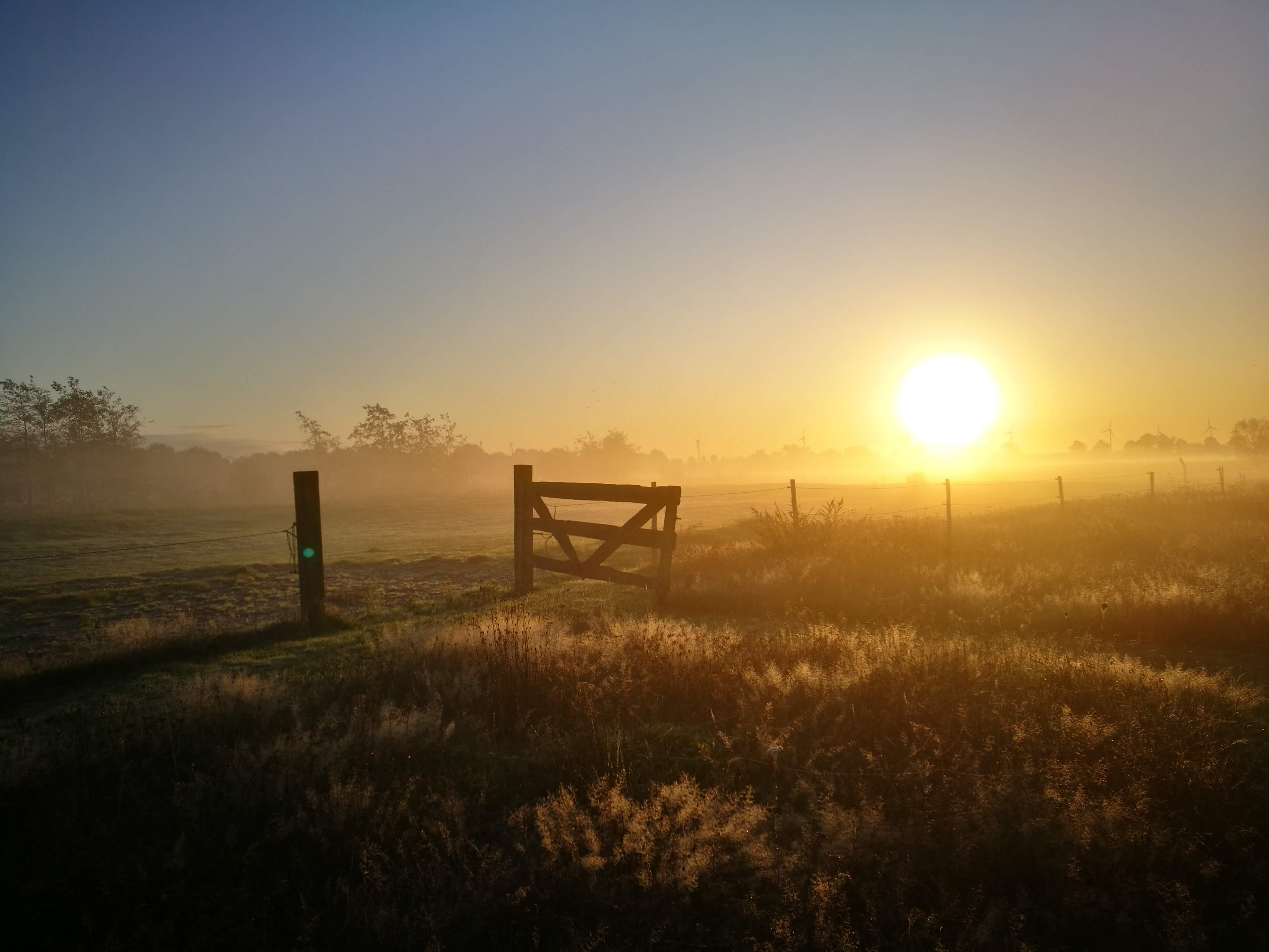 6ha+ of private land (sunrise with spider web)