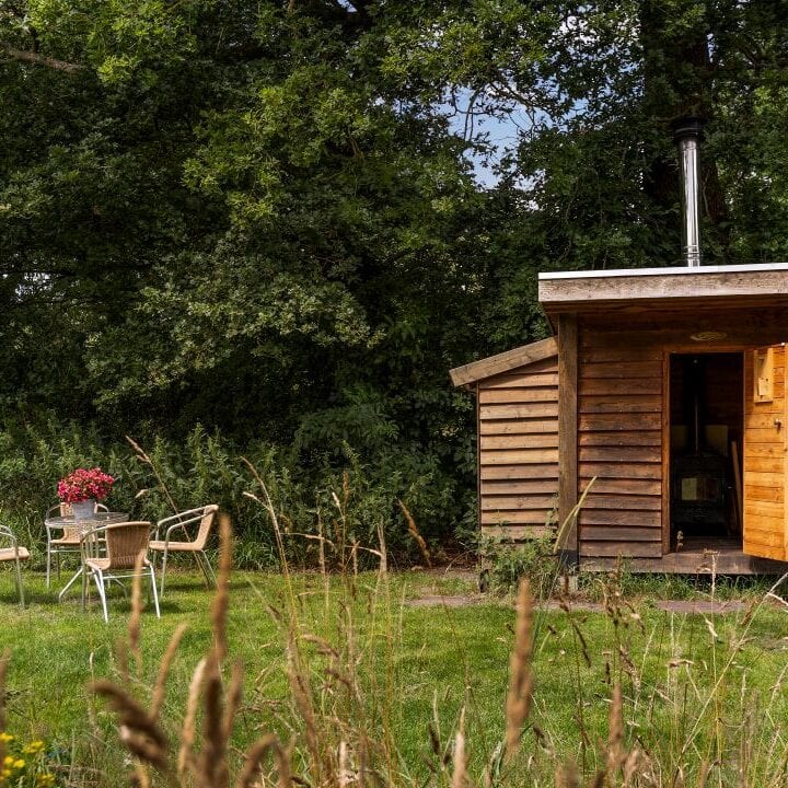 Wild-Swim Pond & Sauna (02)