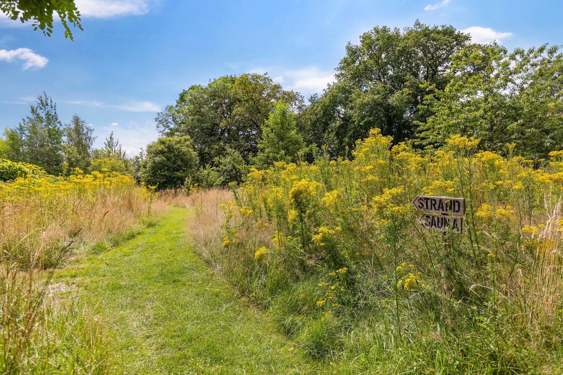 6ha+ of private land (sunrise meadow with a person)