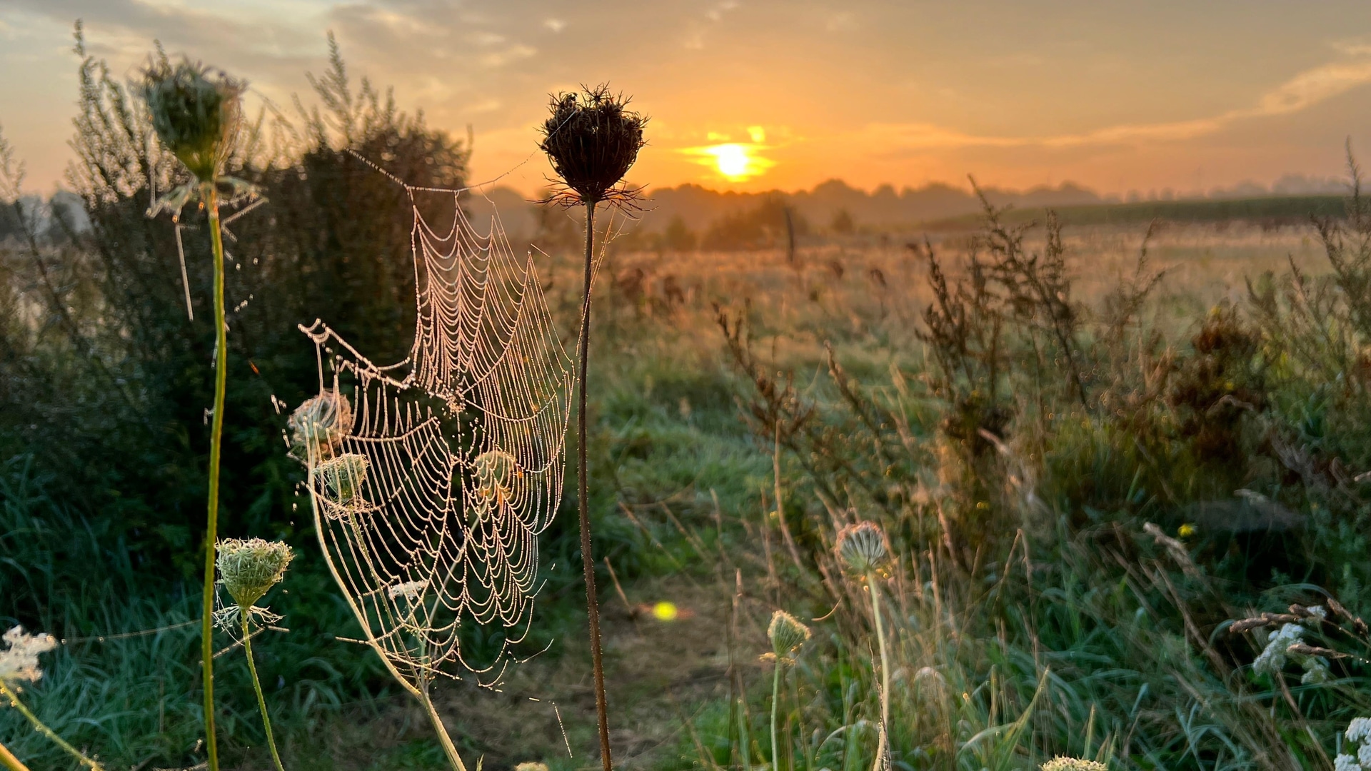 framer-legacy-nature-temple-reel-private-land-03 Afbeelding van de Natuurtempel