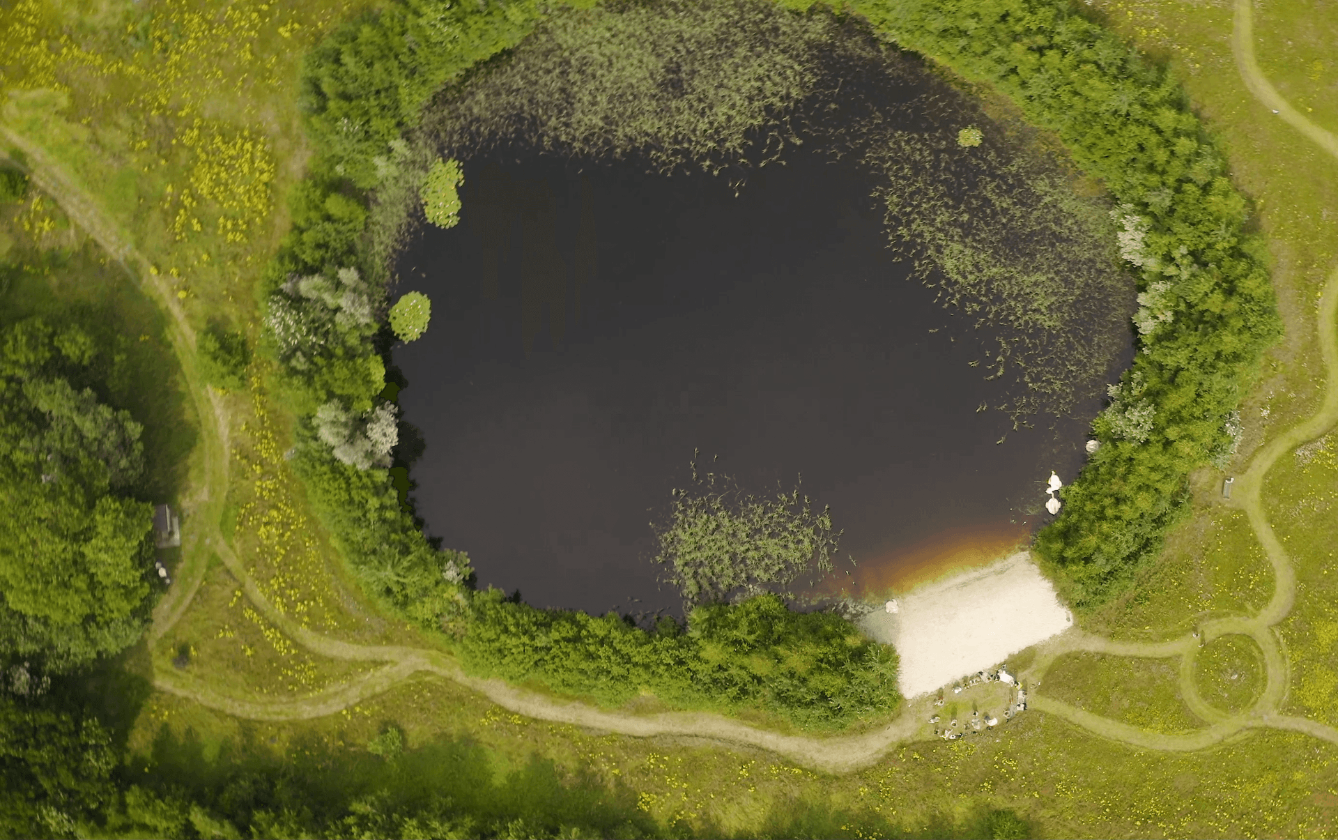framer-legacy-nature-temple-reel-swimming-pond-01 Afbeelding van de Natuurtempel